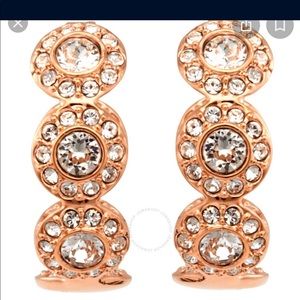 Swarovski angelic hoop earrings rose gold